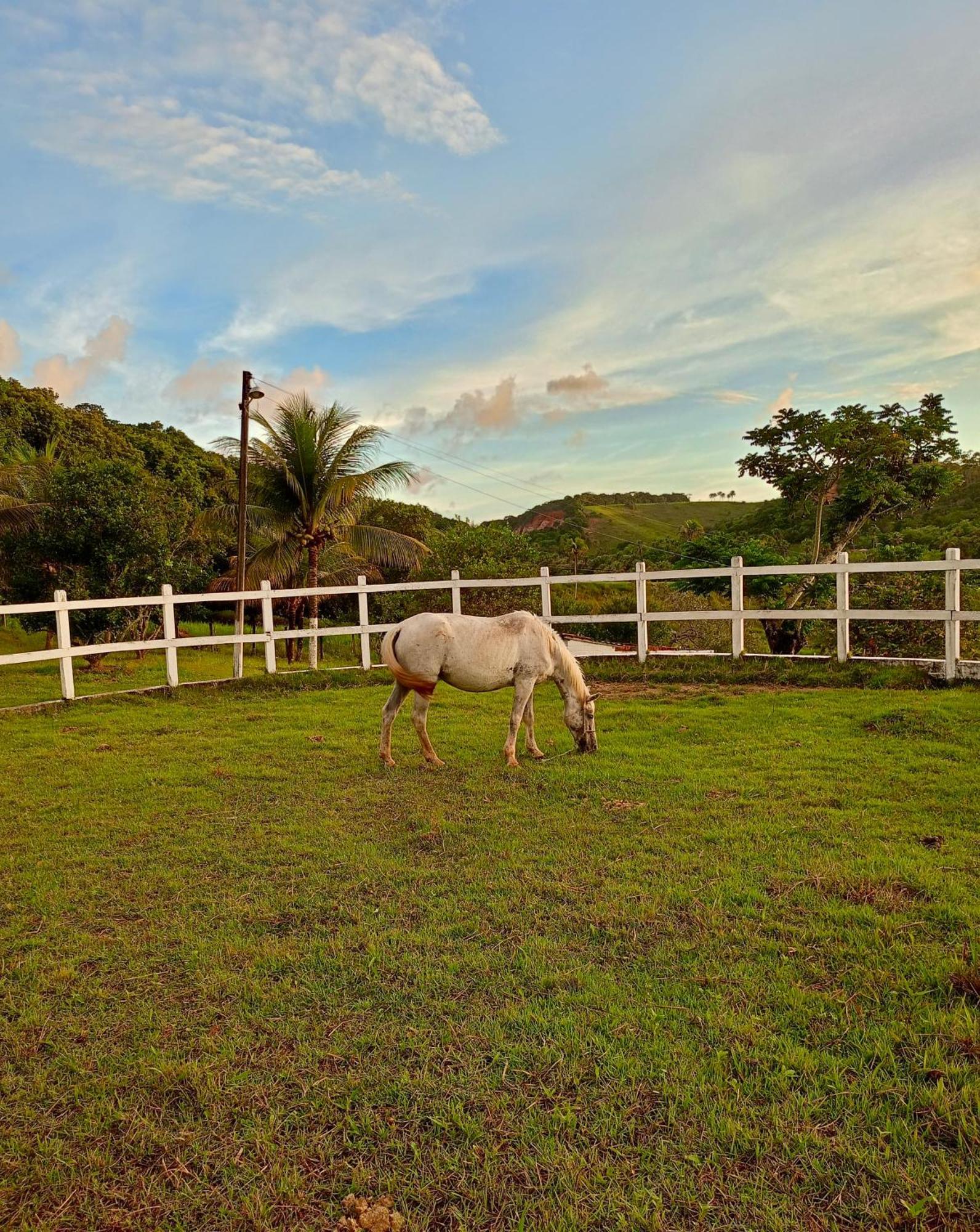 Parque de Campismo Rancho Navarro Pôrto de Pedras